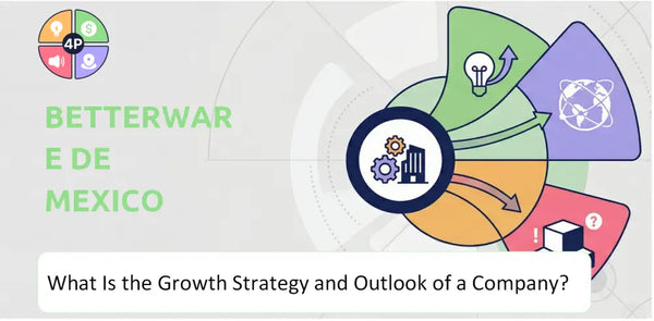 What Is the Growth Strategy and Outlook of Betterware de Mexico Company?