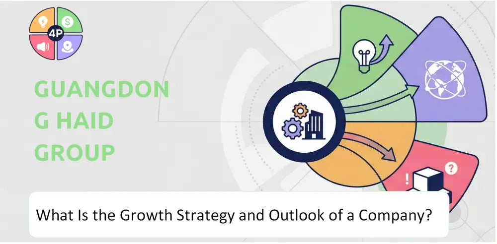Haid Company Growth Strategy Outlook