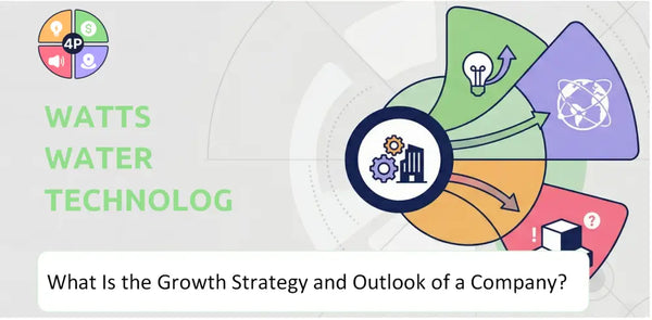 What Is the Growth Strategy and Outlook of Watts Water Technologies Company?