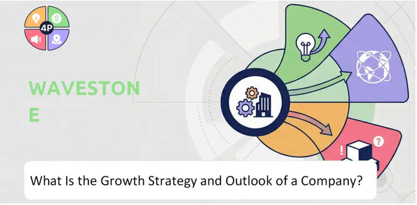 What Is the Growth Strategy and Outlook of Wavestone Company?