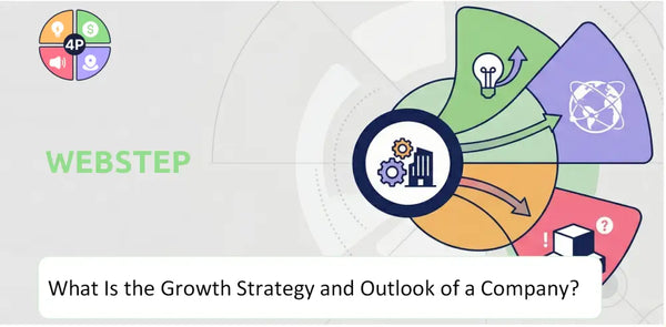 What Is the Growth Strategy and Outlook of Webstep Company?
