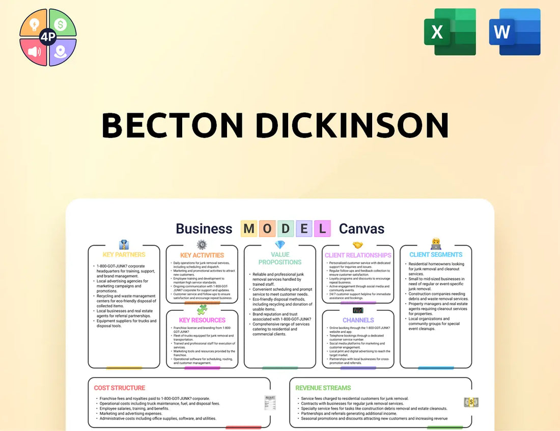 Bd Canvas Business Model