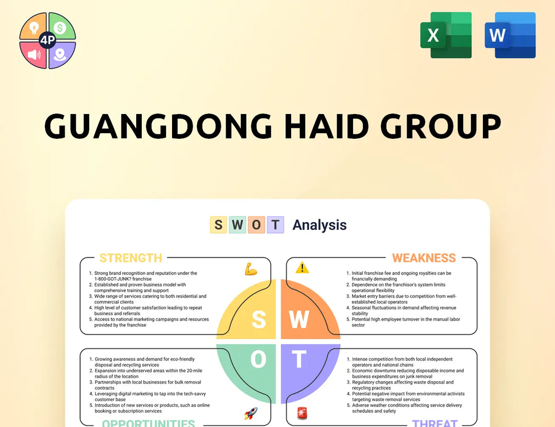 Haid Swot Analysis