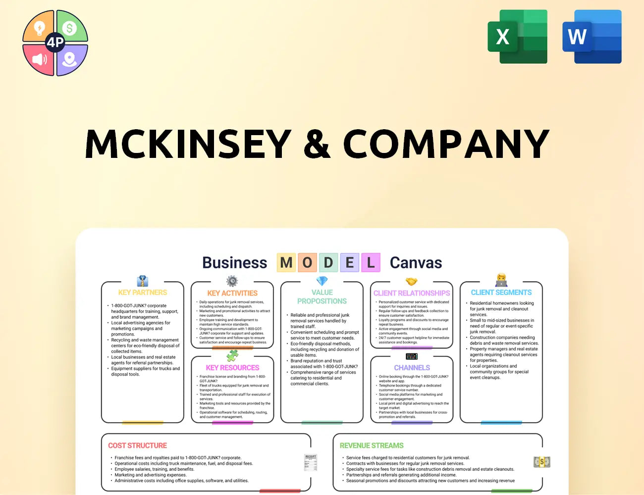 Mckinsey Canvas Business Model