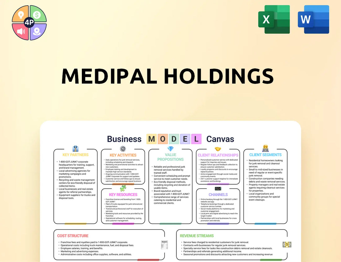 Medipal Hd Canvas Business Model
