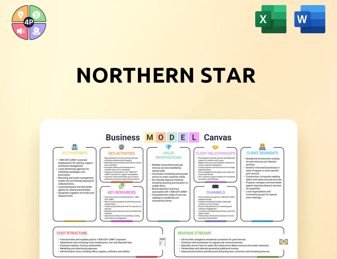 Nsrltd Canvas Business Model