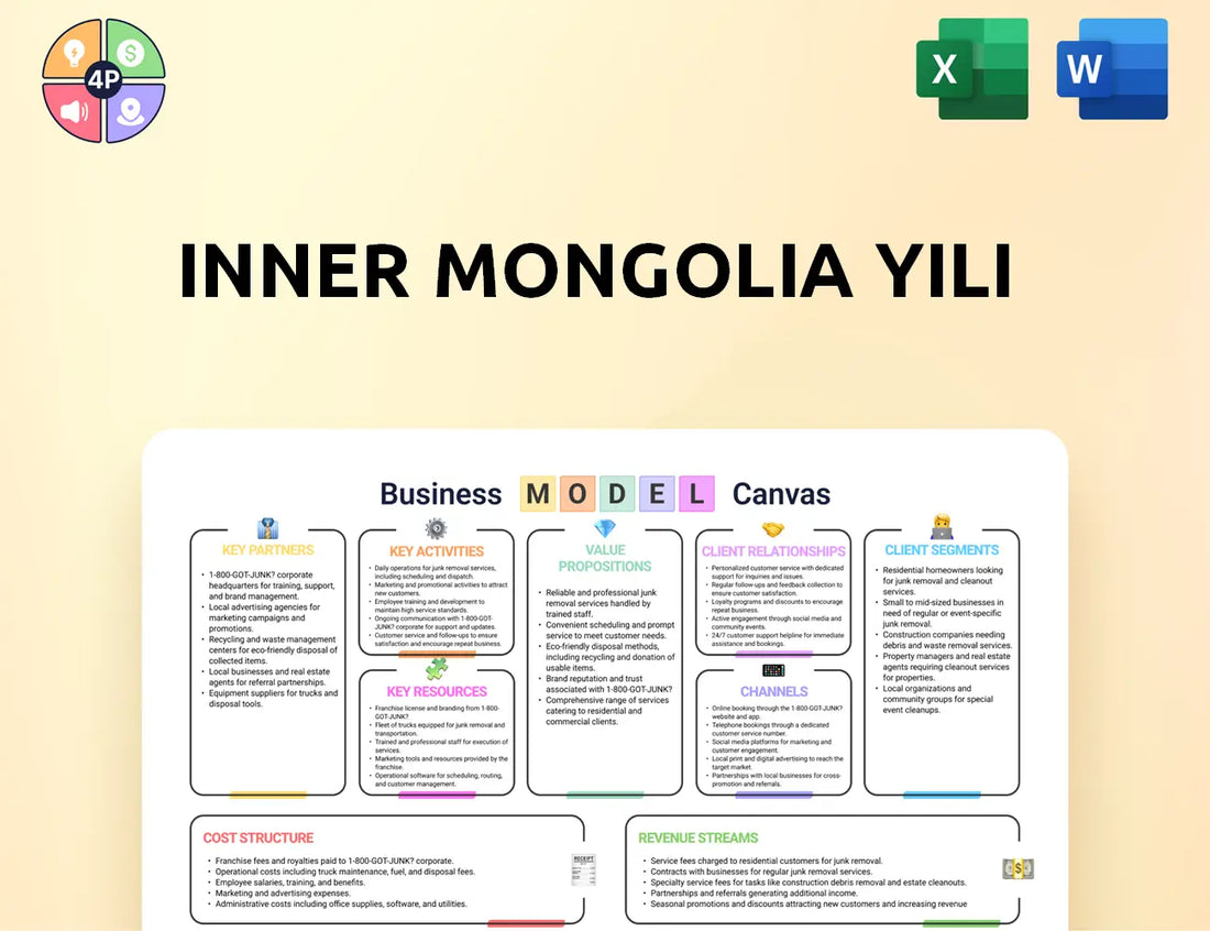 Yili Canvas Business Model
